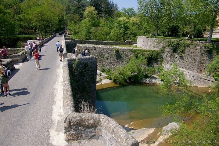 MM_2007-04-25_14-08-16_P1ds_001013 Pont de Saint Laurent le Minier, et quelques botanistes