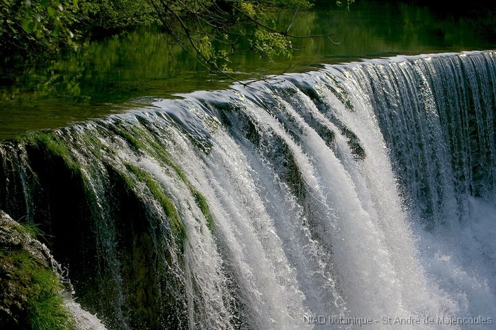 MM_2007-04-25_17-46-01_P1ds_000520 cascade à Saint Laurent le Minier