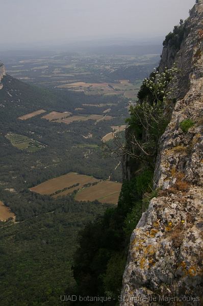 MM_2007-04-26_12-21-11_P1ds vue depuis le sommet du Pic Saint-Loup