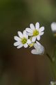 MM_2007-04-24_10-34-12_P1ds