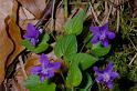 MM_2007-04-25_10-03-42_P1ds_001016