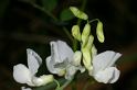 MM_2007-04-25_10-08-44_P1ds