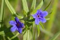 MM_2007-04-25_10-17-25_P1ds
