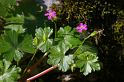 MM_2007-04-25_10-29-56_P1ds
