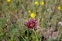 MM_2007-04-25_11-10-37_P1ds_002016