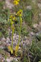 MM_2007-04-26_09-59-54_P1ds