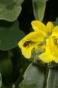 MM_2007-04-27_13-40-03_P1ds