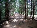 MM_2007-07-04_11-24-34_R