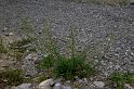 IMGP8264_002014