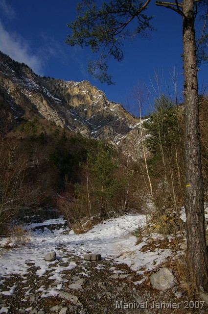 IMGP6655 Le haut du manival, vu de prs de la cabane forestire.